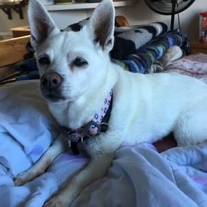 Meet your Posher, Lynn